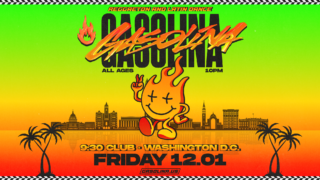 Gasolina: Reggaeton Party