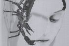 Tortoise