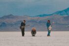 Foxtide