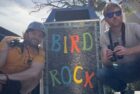 Extremely Accurate Bird Songs
